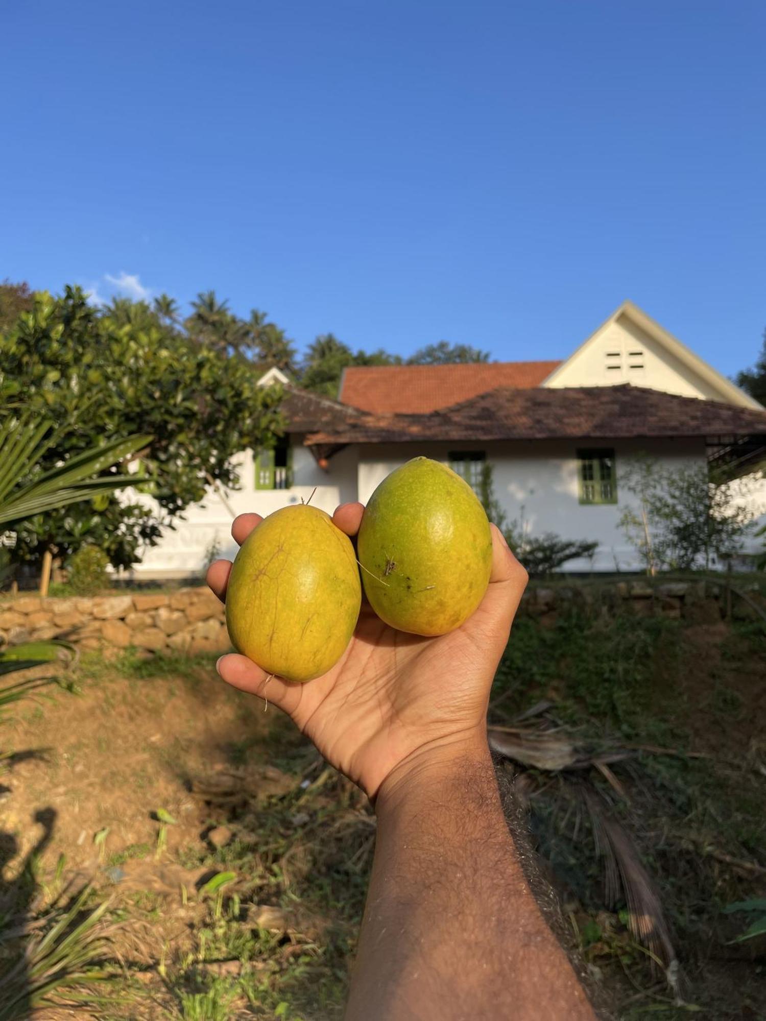 Calm Shack - 2 Bedroom-Boutique Farm Stay Munnar Kültér fotó