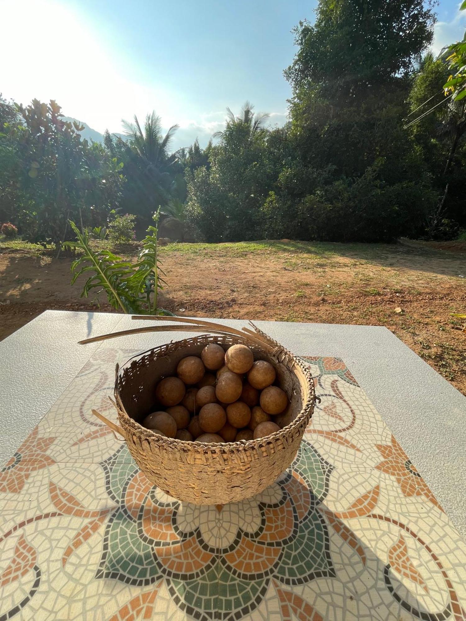 Calm Shack - 2 Bedroom-Boutique Farm Stay Munnar Kültér fotó