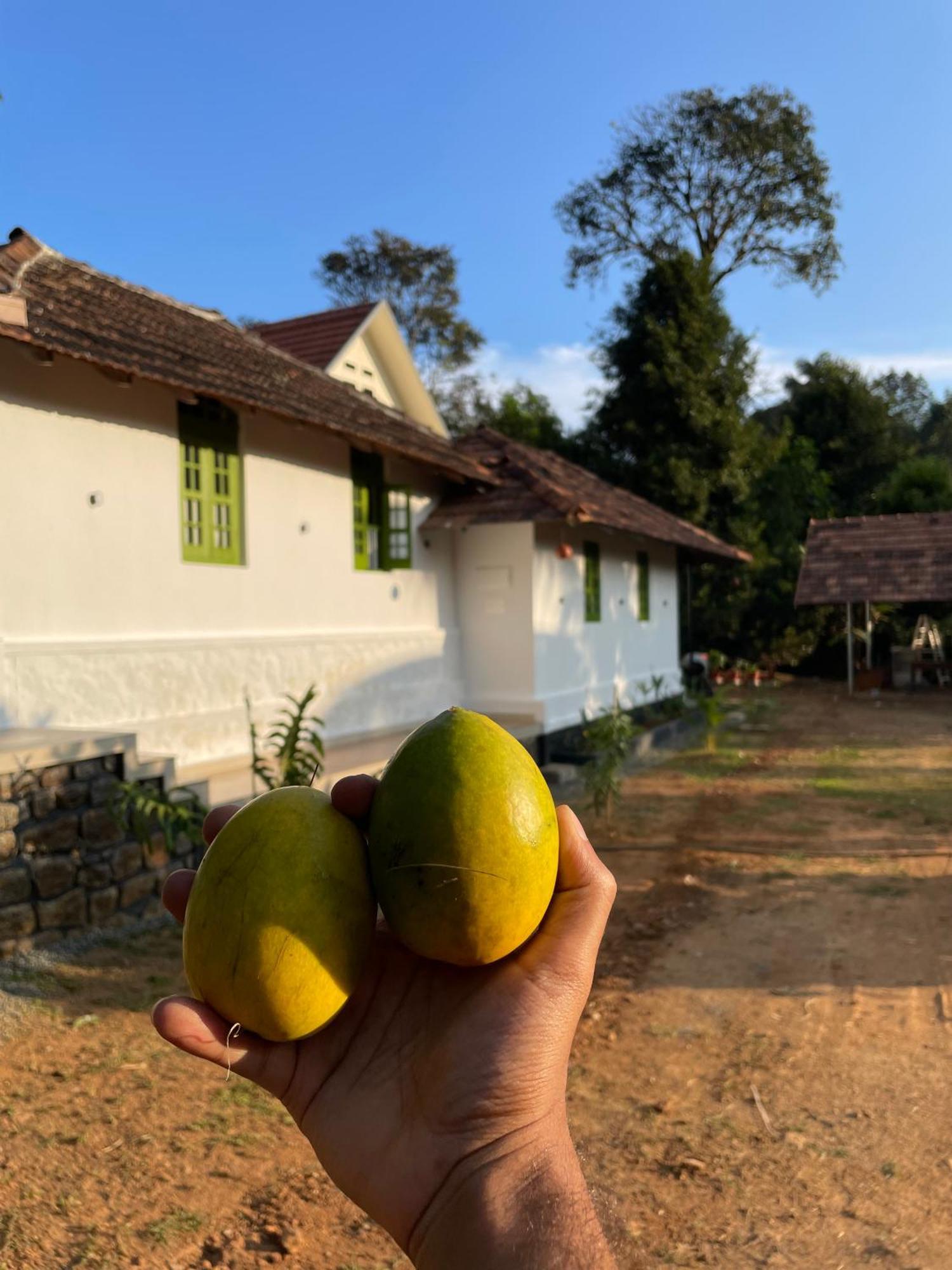 Calm Shack - 2 Bedroom-Boutique Farm Stay Munnar Kültér fotó