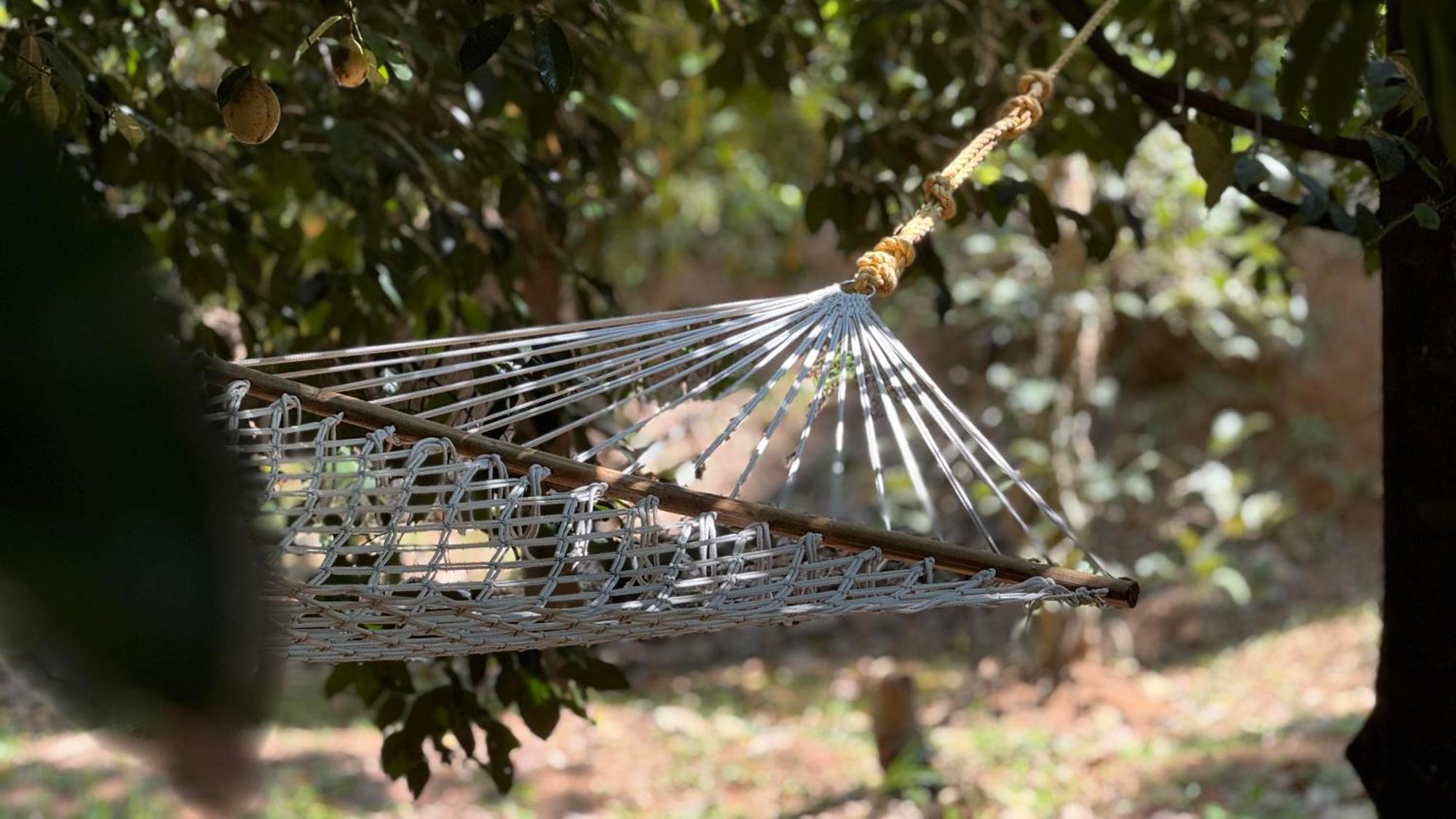 Calm Shack - 2 Bedroom-Boutique Farm Stay Munnar Kültér fotó