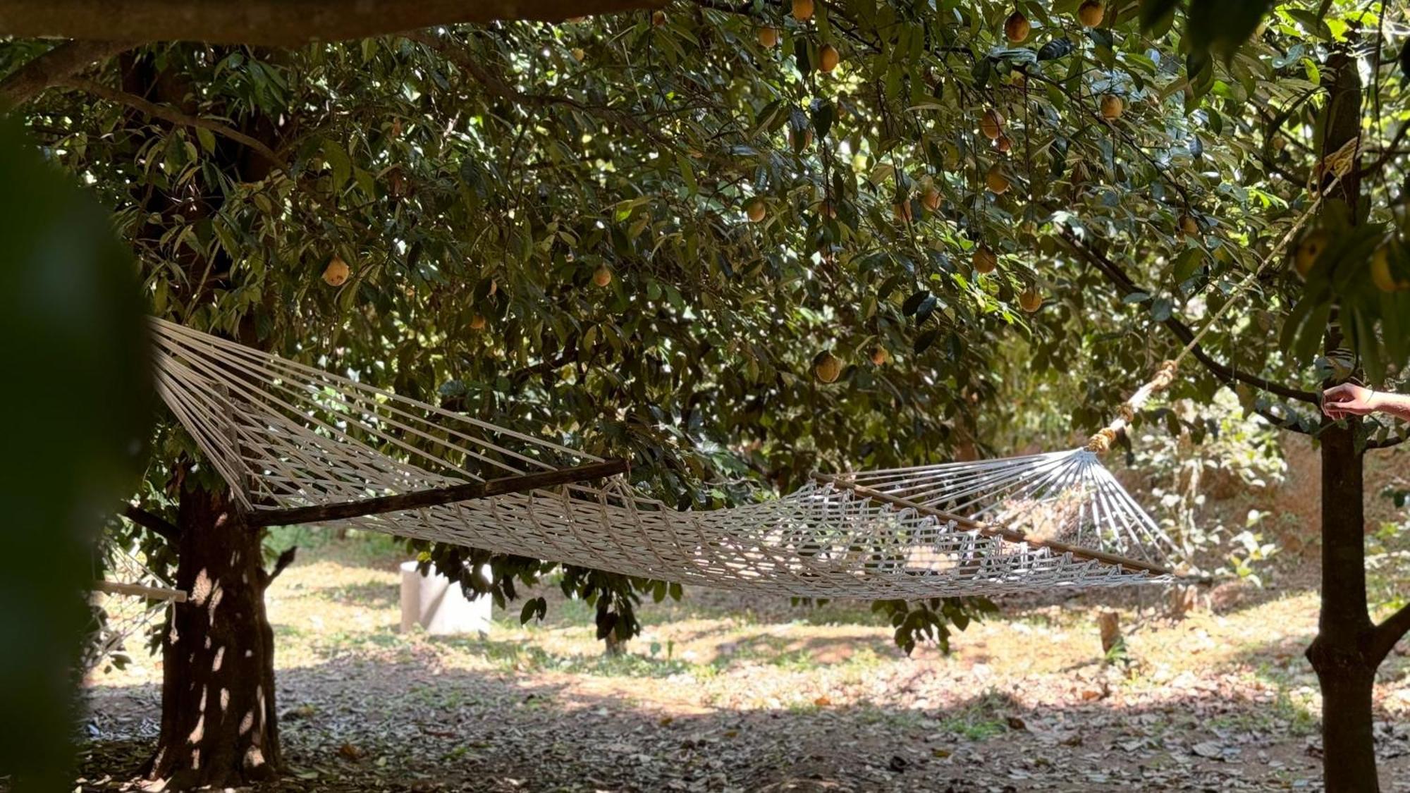 Calm Shack - 2 Bedroom-Boutique Farm Stay Munnar Kültér fotó